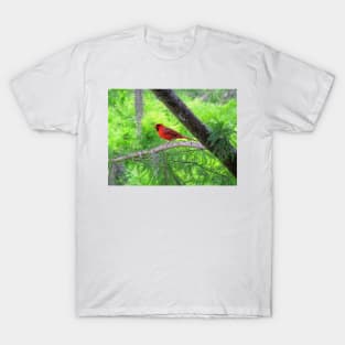 Red Bird T-Shirt